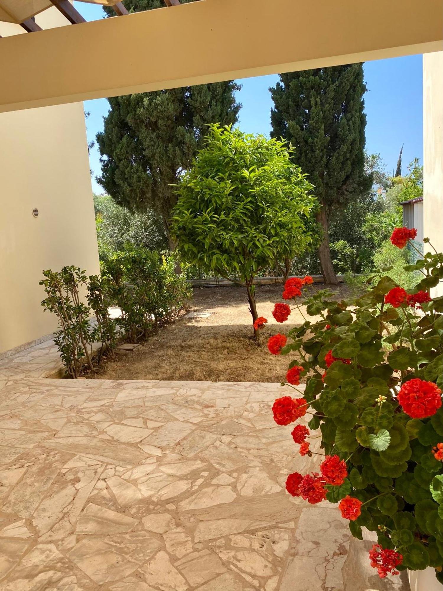 Villa Lorena Protaras Exterior foto