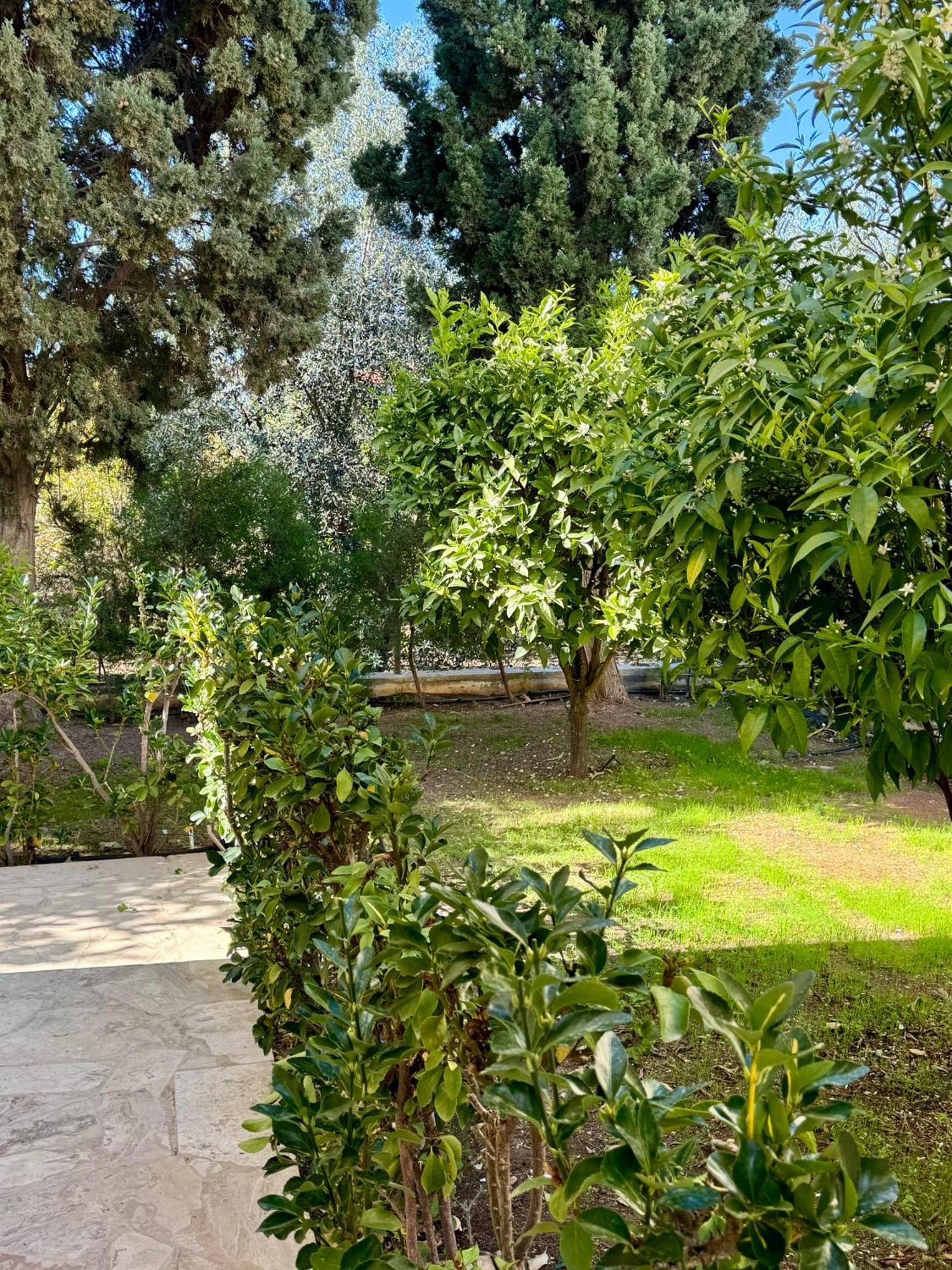 Villa Lorena Protaras Exterior foto